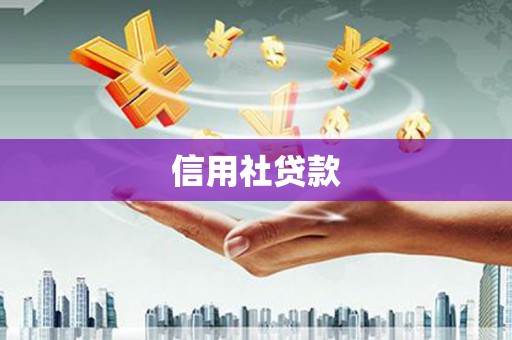 泽库信用社贷款