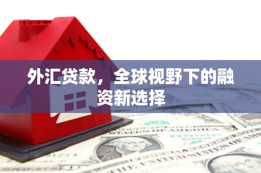 石景山外汇贷款，全球视野下的融资新选择