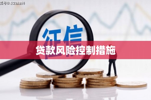 中沙贷款风险控制措施