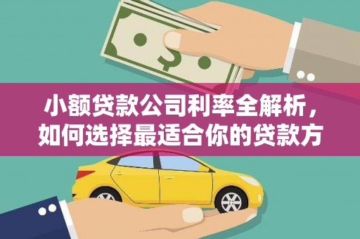 华安小额贷款公司利率全解析，如何选择最适合你的贷款方案？