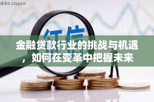 梅江金融贷款行业的挑战与机遇，如何在变革中把握未来