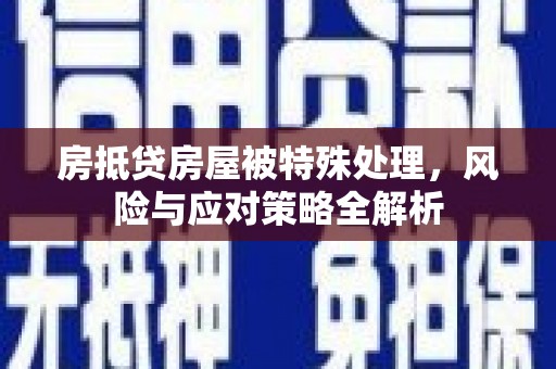 大武房抵贷房屋被特殊处理，风险与应对策略全解析
