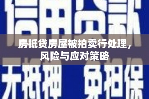 大武房抵贷房屋被拍卖行处理，风险与应对策略