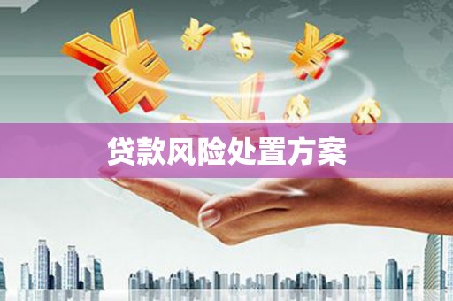 凤岗贷款风险处置方案