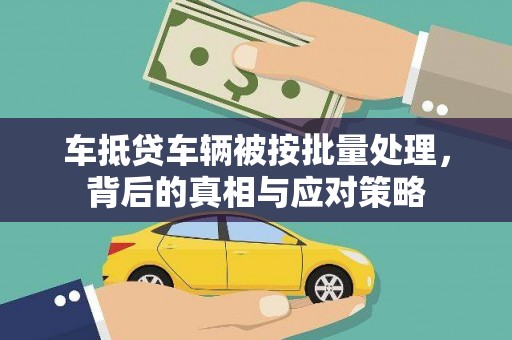贺兰车抵贷车辆被按批量处理，背后的真相与应对策略
