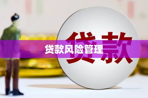 秦安贷款风险管理