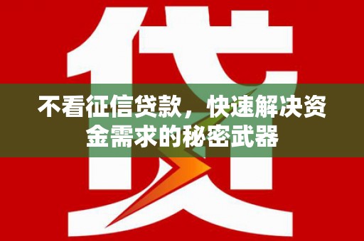 云安不看征信贷款，快速解决资金需求的秘密武器