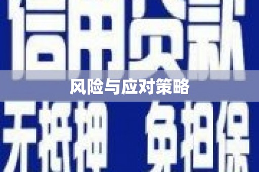 永泰风险与应对策略