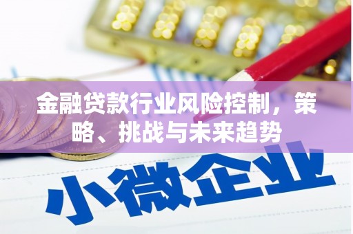 昭觉金融贷款行业风险控制，策略、挑战与未来趋势