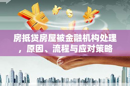 柳江房抵贷房屋被金融机构处理，原因、流程与应对策略