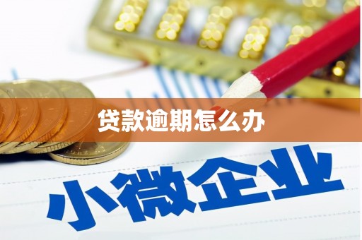 泸县贷款逾期怎么办