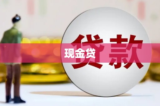 华安现金贷