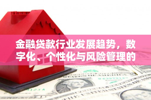 崇明金融贷款行业发展趋势，数字化、个性化与风险管理的未来