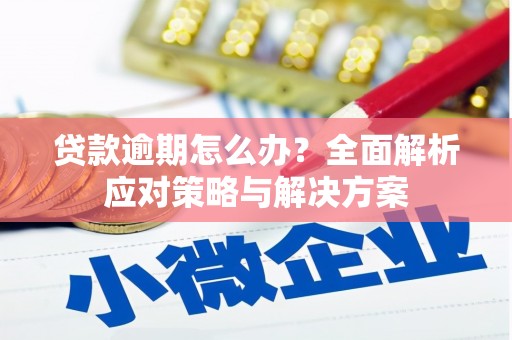 巴林右旗贷款逾期怎么办？全面解析应对策略与解决方案