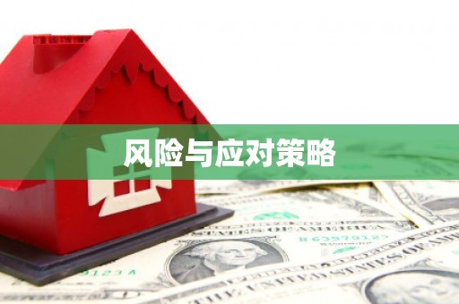 延津风险与应对策略