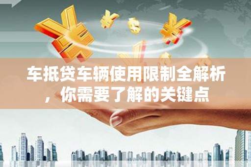 崖州车抵贷车辆使用限制全解析，你需要了解的关键点