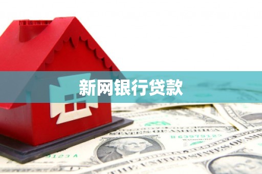 勉县新网银行贷款