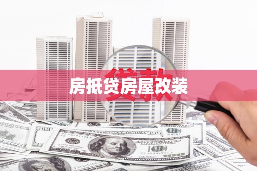武定房抵贷房屋改装