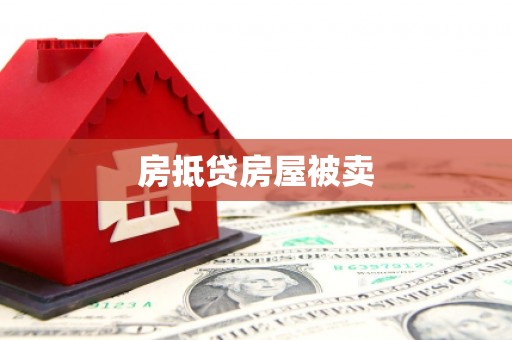 山南房抵贷房屋被卖