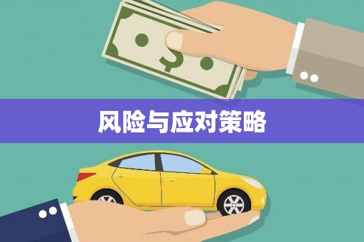杜尔伯特风险与应对策略