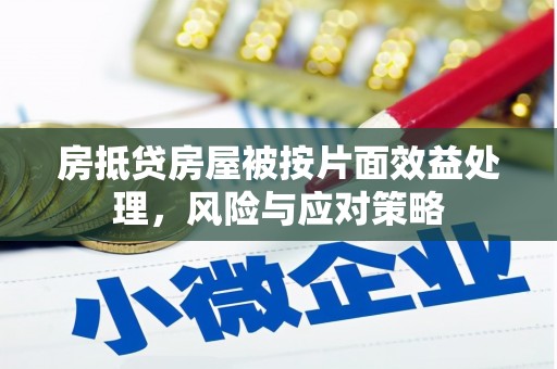 山亭房抵贷房屋被按片面效益处理，风险与应对策略