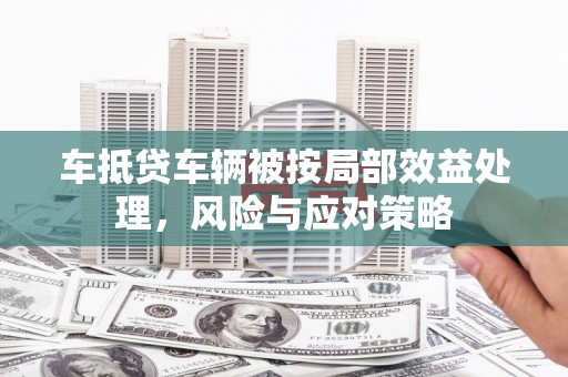 湖州车抵贷车辆被按局部效益处理，风险与应对策略