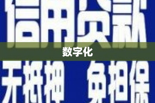 石狮数字化