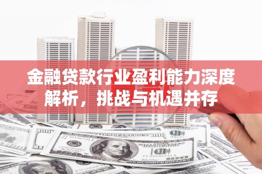 南涧金融贷款行业盈利能力深度解析，挑战与机遇并存