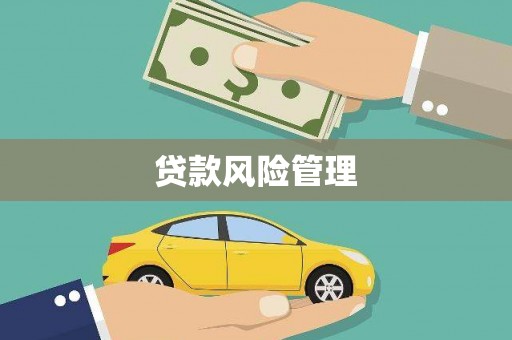 大埔贷款风险管理