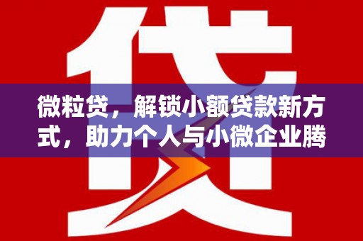长岛微粒贷，解锁小额贷款新方式，助力个人与小微企业腾飞