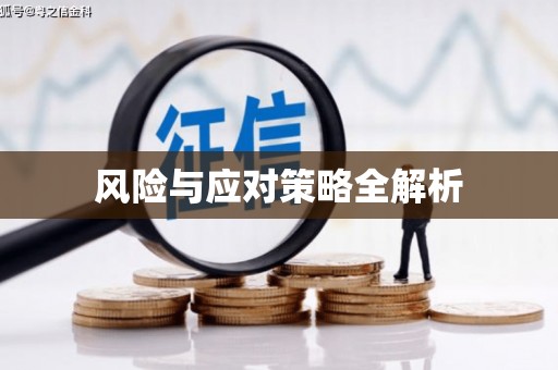 利辛风险与应对策略全解析