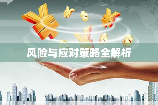 临翔风险与应对策略全解析