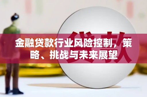 临翔金融贷款行业风险控制，策略、挑战与未来展望