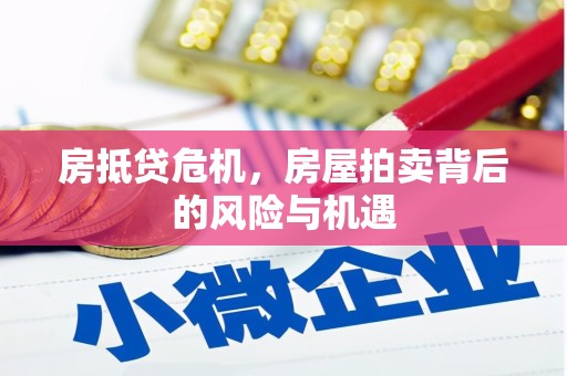 仁布房抵贷危机，房屋拍卖背后的风险与机遇