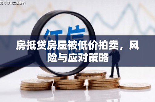 萨迦房抵贷房屋被低价拍卖，风险与应对策略