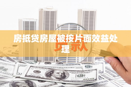 隆化房抵贷房屋被按片面效益处理