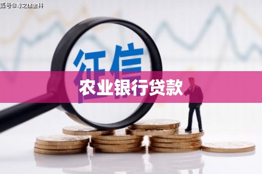 长洲农业银行贷款