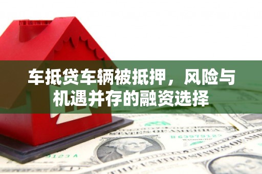 武定车抵贷车辆被抵押，风险与机遇并存的融资选择