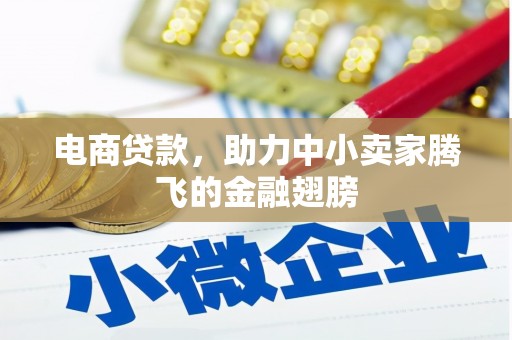 西乌旗电商贷款，助力中小卖家腾飞的金融翅膀