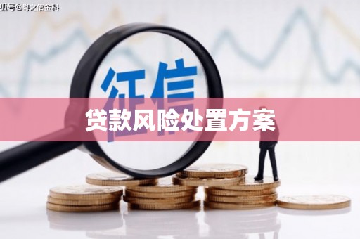 旌阳贷款风险处置方案