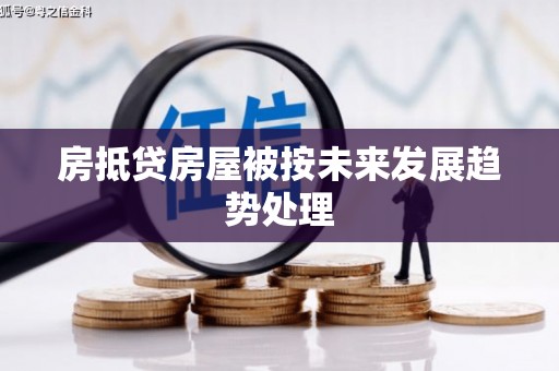 巢湖房抵贷房屋被按未来发展趋势处理