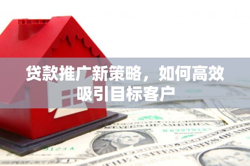 坪林贷款推广新策略，如何高效吸引目标客户