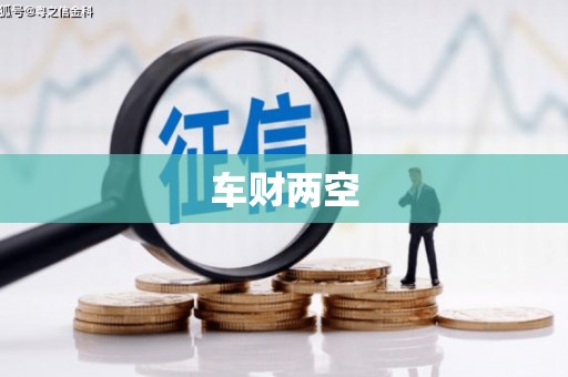 萨嘎车财两空