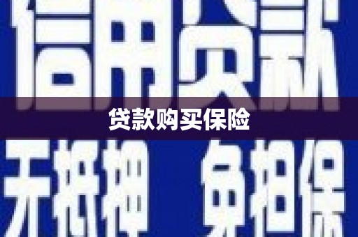 白云贷款购买保险