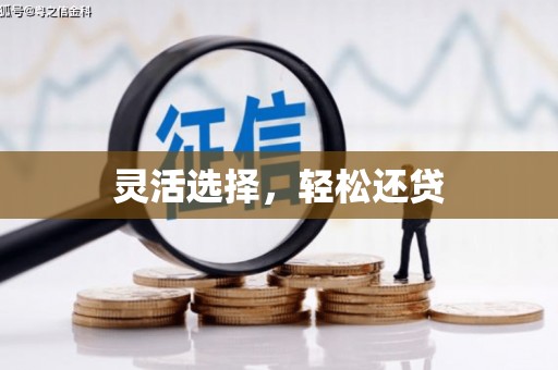 宣化灵活选择，轻松还贷