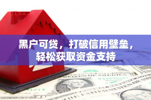 澄城黑户可贷，打破信用壁垒，轻松获取资金支持