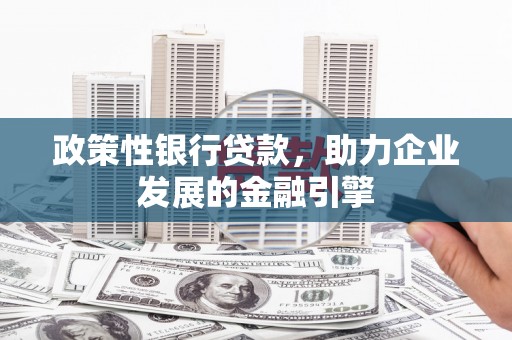 万柏林政策性银行贷款，助力企业发展的金融引擎