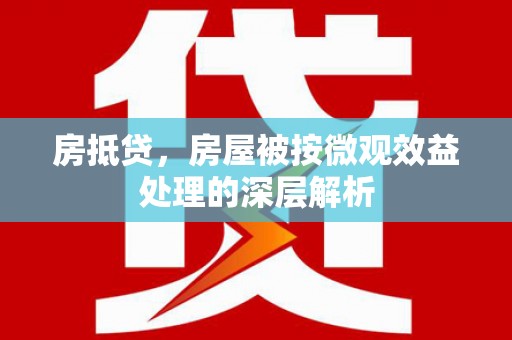 鹤壁房抵贷，房屋被按微观效益处理的深层解析