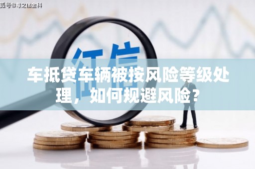 林芝车抵贷车辆被按风险等级处理，如何规避风险？