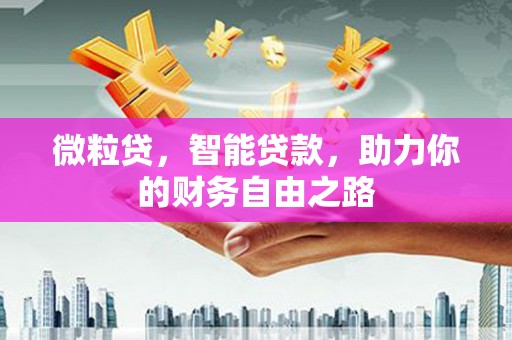 贵定微粒贷，智能贷款，助力你的财务自由之路